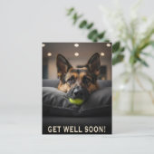 Carte Postale German Shepherd Get Well Postcard (Debout devant)