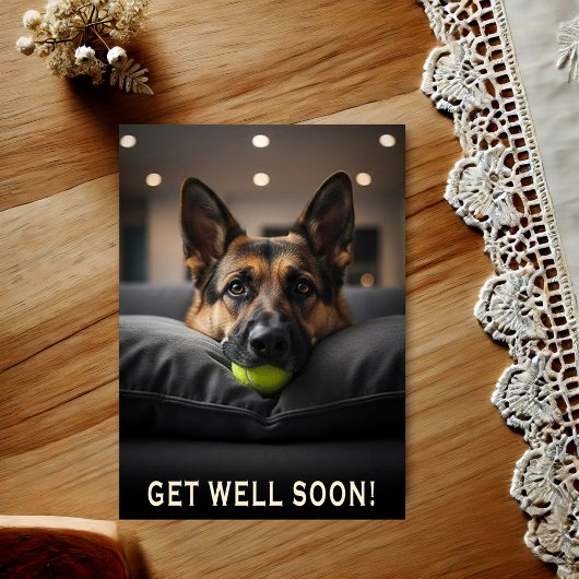 Carte Postale German Shepherd Get Well Postcard