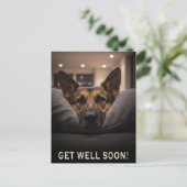 Carte Postale German Shepherd Get Well Postcard (Debout devant)