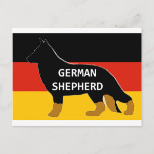 Carte Postale german shepherd name silhoublon on flag bicolor