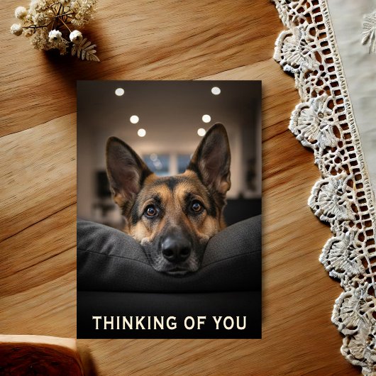 Carte Postale German Shepherd Thinking Of You Postcard
