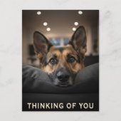 Carte Postale German Shepherd Thinking Of You Postcard (Devant)