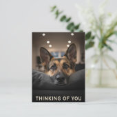Carte Postale German Shepherd Thinking Of You Postcard (Debout devant)