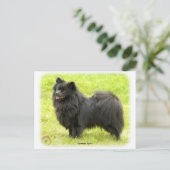 Carte Postale German Spitz 9W014D-009 (Debout devant)