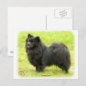 Carte Postale German Spitz 9W014D-009 (Devant / Derrière)