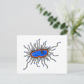 Carte Postale Germe de dessin bleu (Debout devant)