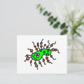 Carte Postale Germe de dessin vert (Debout devant)