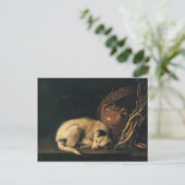 Carte Postale Gerrit Dou - Un chien qui dort avec un pot en terr (Debout devant)