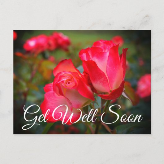 Carte postale Get Well Soon Cherry Parfait Rose #4 (Devant)