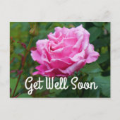 Carte postale Get Well Soon Memorial Day Rose #2 (Devant)