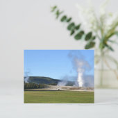 Carte Postale Geyser Deep Blue et bison à Yellowstone (Debout devant)