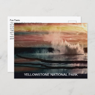 Carte Postale Geyser Fun Faits Parc national de Yellowstone