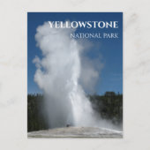 Carte Postale Geyser, parc national de Yellowstone (Devant)