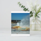 Carte Postale Geysers de Yellowstone (Debout devant)