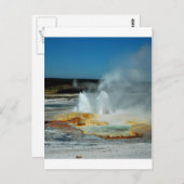 Carte Postale Geysers de Yellowstone (Devant / Derrière)