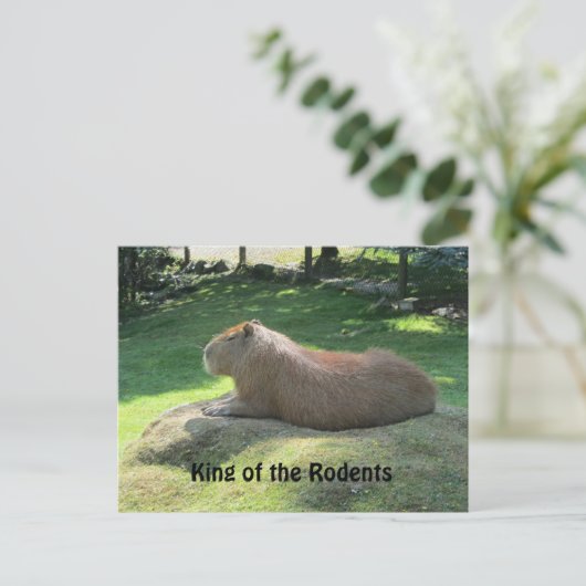 Carte Postale Giant Capybara (Debout devant)
