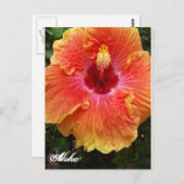 Carte postale Giant Hibiscus Aloha (Devant / Derrière)