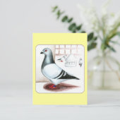 Carte Postale Giant Homer Pigeon 1973 (Debout devant)