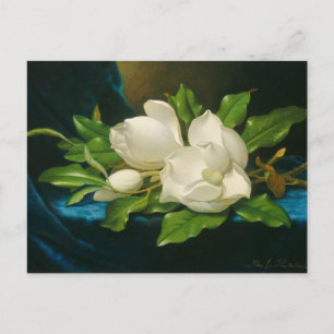 Carte Postale Giant Magnolias sur Blue Velvet Cloth