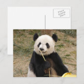 Carte postale Giant Panda (Devant / Derrière)