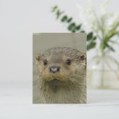 Carte postale Giant River Otter (Debout devant)