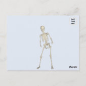 Carte postale Giant Skeleton Halloween (Dos)