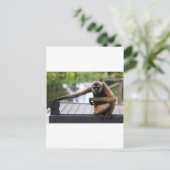 Carte Postale Gibbon (Debout devant)