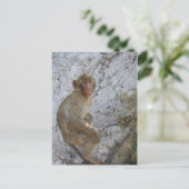 Carte postale Gibraltar Monkey, personnaliser (Debout devant)