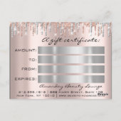 Carte Postale Gift Certificate Holidays Beauty Rose Makeup Logo (Dos)