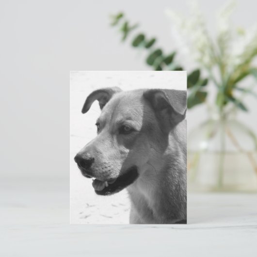 Carte Postale Gilbert (Debout devant)