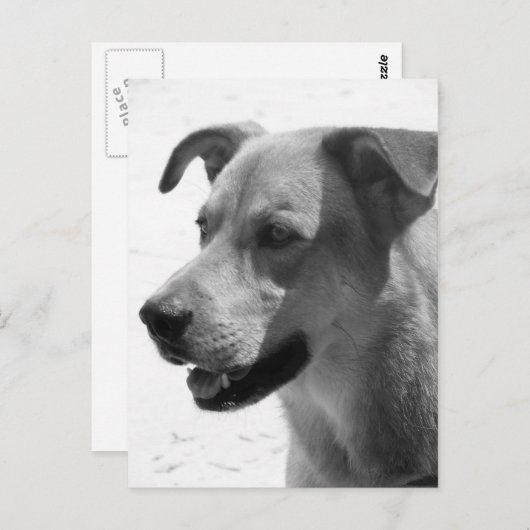 Carte Postale Gilbert (Devant / Derrière)