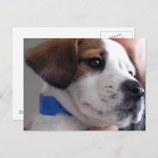 Carte Postale Gilbert (Devant / Derrière)