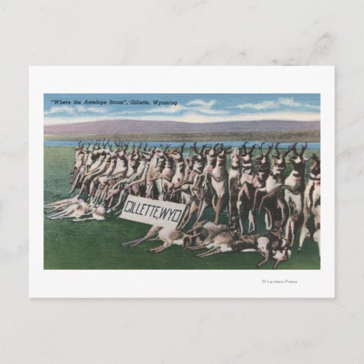 Carte Postale Gillette, WY - Où l'Antelope Roam (Devant)