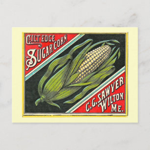 Carte Postale Gilt Edge Sugar Corn Vintage Étiquette Crate