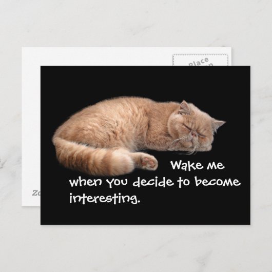 Carte Postale Gingembre Dormir Chat Funny Wake Me Citation (Devant / Derrière)