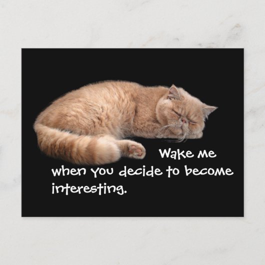 Carte Postale Gingembre Dormir Chat Funny Wake Me Citation (Devant)