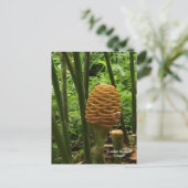 Carte Postale Gingembre en forme de ruche tropicale (Debout devant)