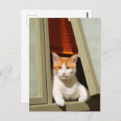 Carte Postale Gingembre et chat blanc assis à la fenêtre (Devant / Derrière)