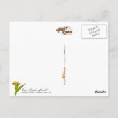 Carte Postale Gingembre - illustration vintage (Dos)