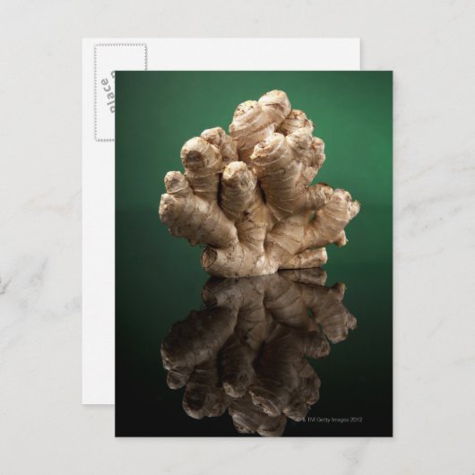 Carte Postale Ginger (Devant / Derrière)