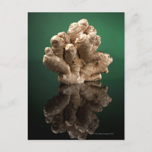 Carte Postale Ginger (Devant)