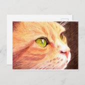 Carte postale Ginger Cat (Devant / Derrière)