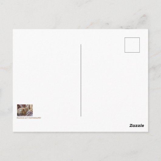 Carte Postale Ginger George (Dos)