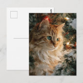 Carte Postale Ginger Maine Coon Noël (Devant / Derrière)