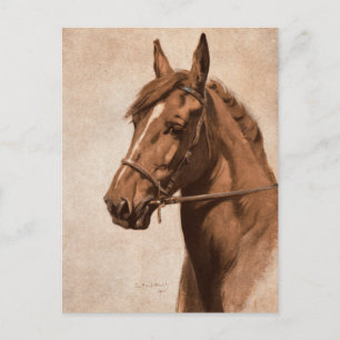 Carte Postale Ginger Sorrel Horse Black Beauty livre Kemp-Welch