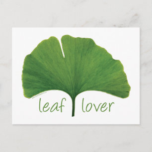 Carte Postale Gingko Leaf