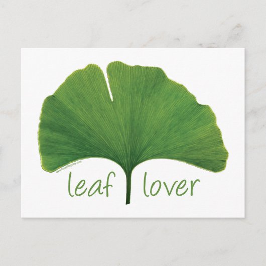 Carte Postale Gingko Leaf (Devant)