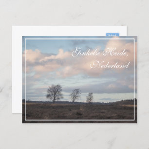 Carte Postale Ginkel Heath, Ede, Pays-Bas Paysage