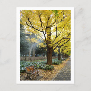 Carte Postale Ginkgo Trees : Meiji Jingu Gaien, Tokyo