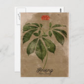Carte postale Ginseng de style vintage (Devant / Derrière)